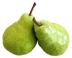 Pear Asian Free PNG HQ