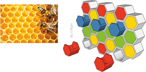 Download Honey Bee Frames Hd Png - Uokplrs African Natural Honey