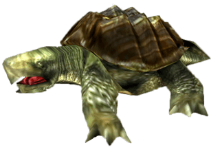 Snapping Turtle Png Transparent Images - Turtles