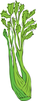 Celery Fresh Green Photos Free HQ Image - Free PNG