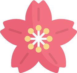 Cherry Blossom - Hoa Anh Dao Icon Png