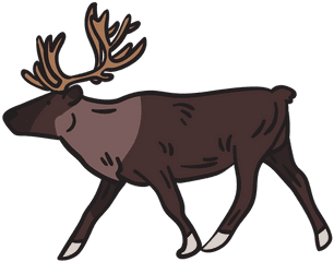 Moose Animal Antlers Illustration - Transparent Png U0026 Svg Elk