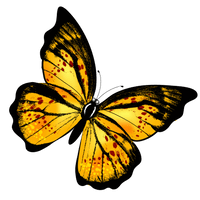 Butterfly Photos Flying Free Transparent Image HQ - Free PNG