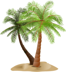 Library Of Date Palm Tree Png Stock Files - Portable Network Graphics