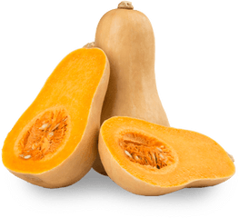 Download Free Png Butternut Squash - Squash Butternuts