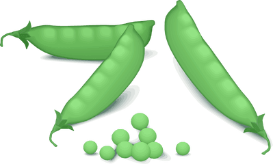 Peas - Peas Clipart Png