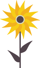 Sunflower Vector Svg Icon 15 - Png Repo Free Png Icons Icon