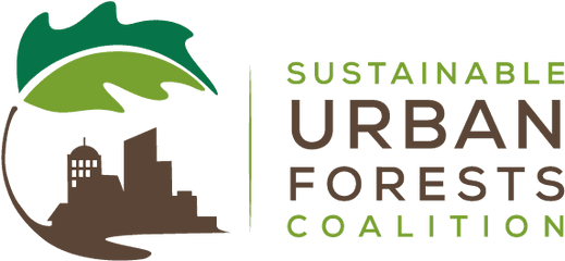 Graduate And - Sustainable Urban Forests Coalition Png