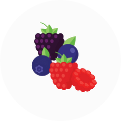 Very Berry Sorbet - Fresh Png