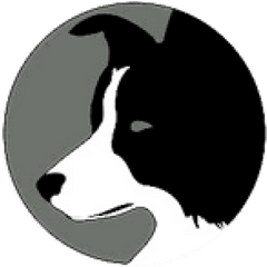 Carolina Border Collie Rescue - Border Collie Dog Logo Png