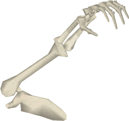 Download Bone Arm - Bone Arm Png