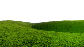 Field Grass Green Download HQ - Free PNG