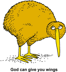 Kiwi - Golden Kiwi Bird Png