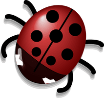 Ladybug Insect Photos Cute Free Download PNG HD