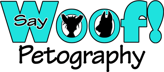 Say Woof Pet Photography Fused With Graphic Arts - Hanukkah Petography Png