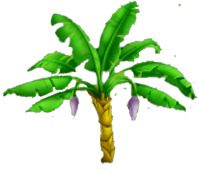 Banana Tree - Banaana Tree Hd Png