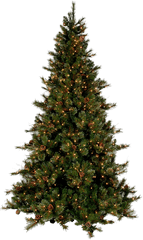 Christmas - Real Christmas Tree Png