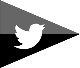 Company Flag Logo Media Social Twitter Icon - Social Flags Free Png