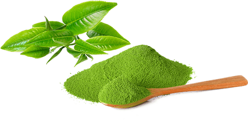 261771329 Green Tea V05 7316 Kbyte - Green Tea Matcha Png