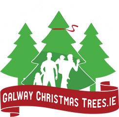 Galway Christmas Trees U2013 Xmas - Christmas Day Png