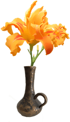 Flower Orange Pretty - Free Image On Pixabay Flowers With Stem Png