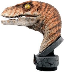 Male Raptor Bust - Jurassic Park Lost World Raptor Bust Png