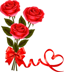 Red - Roseflowerfreepngtransparentimagesfreedownload Rose Png Hd