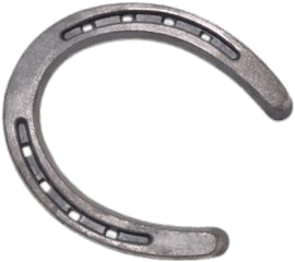 Classic Horseshoe Transparent Png - Real Horse Shoe Horseshoe