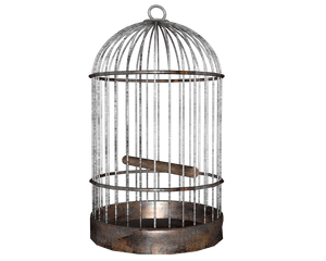 Download Free Png Cage - Backgroundbirdtransparent Dlpngcom Birdcage Png