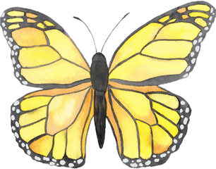 Butterfly Png - Yellow Butterfly Sticker