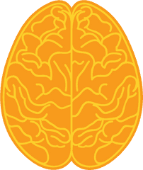 Right Brain Clipart - Illustration Png