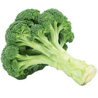 Pic Green Broccoli PNG Image High Quality