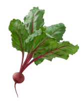 Beetroot Fresh PNG File HD