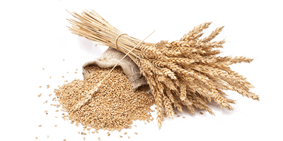 Grain Picture PNG Image High Quality