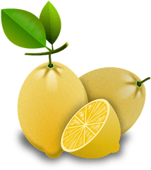 Lemons Citrus Fruits - Jeruk Lemon Vektor Png