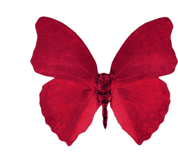 Transparent Png - Red Aesthetic Transparent Background