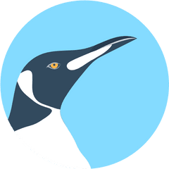 Free Icon Penguin - Icon Zoology Png