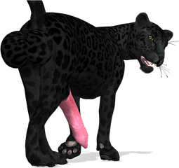 Panther Cat Computer Icons - Black Panther Animal Png