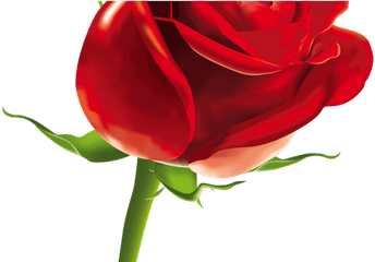 Clipcookdiarynet - Red Rose Clipart Transparent Background Png