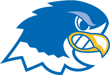 Notre Dame College Falcons - Notre Dame Falcons Png