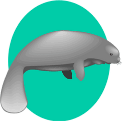 Free Manatee Clipart - Fancy Sea Cow Png
