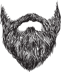 Drawing Beard Stubble Picture - Beard Sketch Png