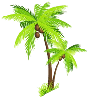 Palm Tree Picture - Free PNG