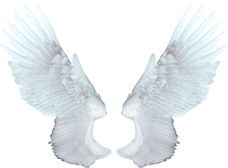 Download Free Png White Angel Wings - Animation Of Angel Wings