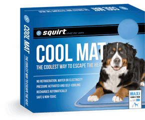 Squirt Cool Mat - Bernese Mountain Dog Png