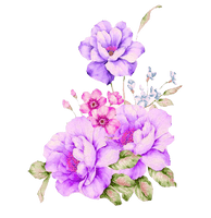 Plant Flower Watercolour Watercolor Flowers Painting - Free PNG