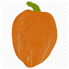 Hubbard Squash Icon Of Flat Style Png