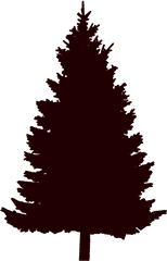 Pine Tree Silhouette Transparent - Othafa Tree Care Png