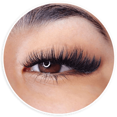 Beyond Beauty Png Eyelash