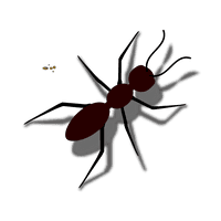 Ant Red HD Image Free - Free PNG